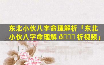 东北小伙八字命理解析「东北小伙八字命理解 🍁 析视频」